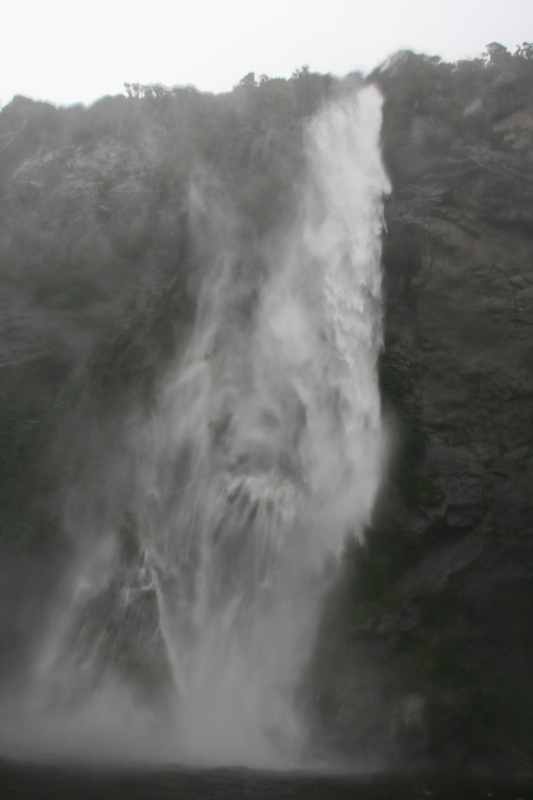 Nieuw-Zeeland 2011 - 1699